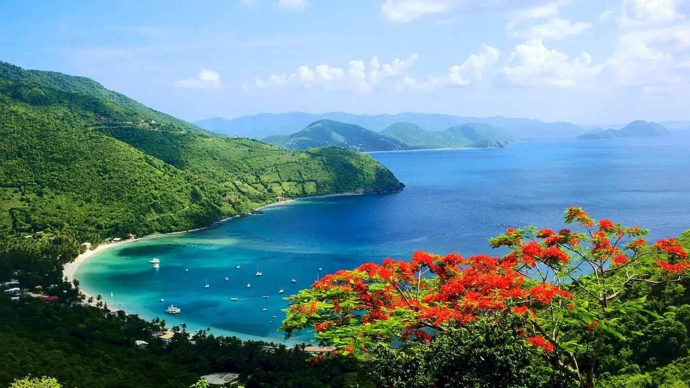 高端高效智能化